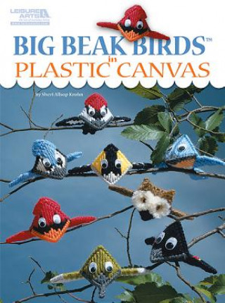 Buch Big Beak Birds in Plastic Canvas Sheri Allsop Krohn