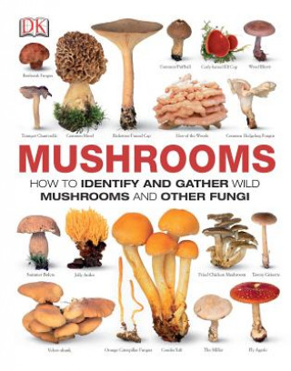 Kniha Mushrooms Thomas Laessoe