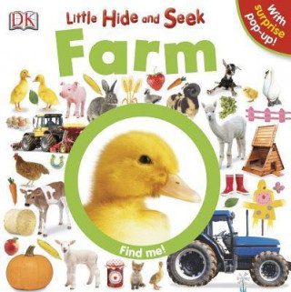 Kniha LITTLE HIDE AND SEEK FARM Dawn Sirett