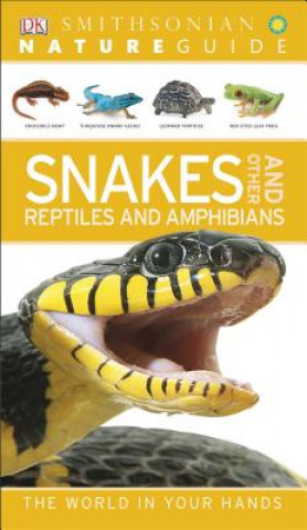 Book Snakes and Other Reptiles and Amphibians Dorling Kindersley Limited