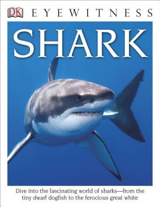 Könyv DK Eyewitness Books: Shark Miranda MacQuitty