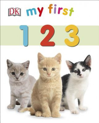 Libro My First 123 Sarah Davis