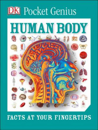 Kniha Human Body Inc. Dorling Kindersley