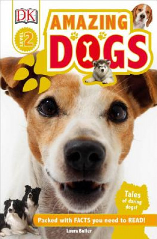 Book Amazing Dogs Laura Buller