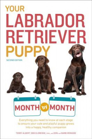Kniha Your Labrador Retriever Puppy Month by Month Terry Albert