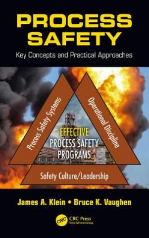 Kniha Process Safety James A. Klein