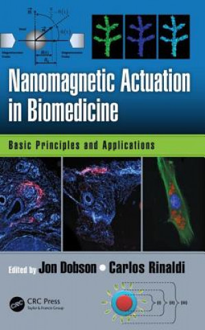 Könyv Nanomagnetic Actuation in Biomedicine Jon Dobson