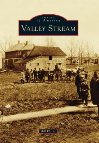 Knjiga Valley Stream Bill Florio