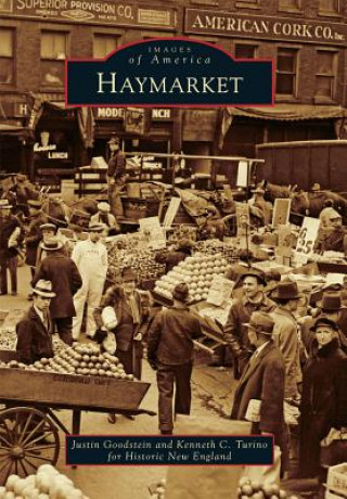 Livre Haymarket Justin Goodstein