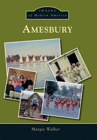 Buch Amesbury Margie Walker