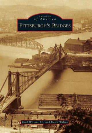 Книга Pittsburgh's Bridges Todd Wilson