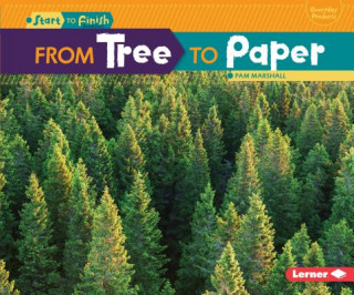 Book From Tree To Paper Pam Marshall