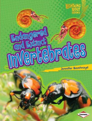 Book Endangered and Extinct Invertebrates Jennifer Boothroyd