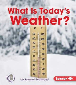 Kniha What Is Today's Weather? Jennifer Boothroyd