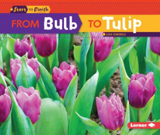 Książka From Bulb to Tulip Lisa Owings