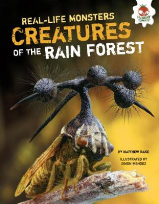 Kniha Creatures of the Rain Forest Matthew Rake