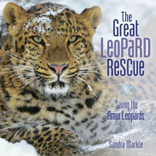 Livre The Great Leopard Rescue Sandra Markle