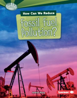 Kniha How Can We Reduce Fossil Fuel Pollution? Andrea Wang