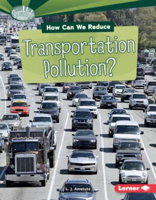 Libro How Can We Reduce Transportation Pollution? L. J. Amstutz