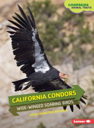 Carte California Condors Laura Hamilton Waxman