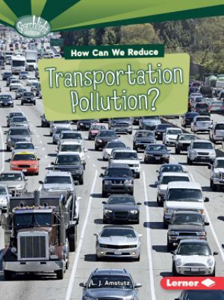 Könyv How Can We Reduce Transportation Pollution L. J. Amstutz