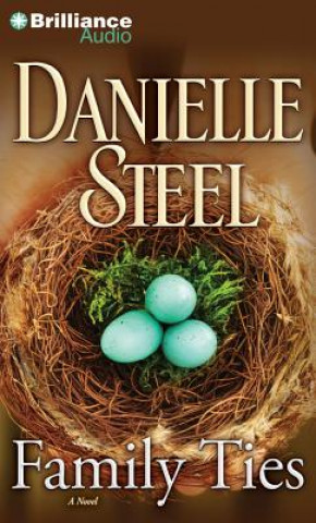 Audio Family Ties Danielle Steel