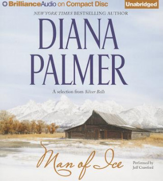 Audio Man of Ice Diana Palmer