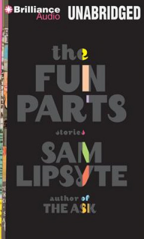 Audio The Fun Parts Sam Lipsyte