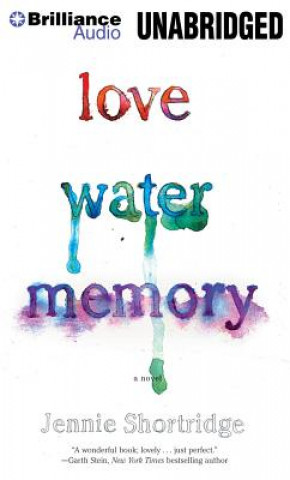Audio Love Water Memory Jennie Shortridge