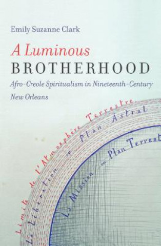 Knjiga Luminous Brotherhood Emily Suzanne Clark