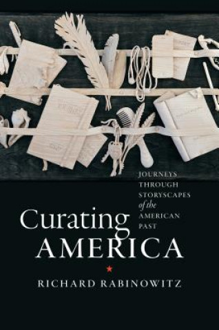 Kniha Curating America Richard Rabinowitz