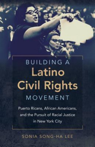 Knjiga Building a Latino Civil Rights Movement Sonia Song-ha Lee