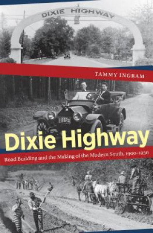 Kniha Dixie Highway Tammy Ingram