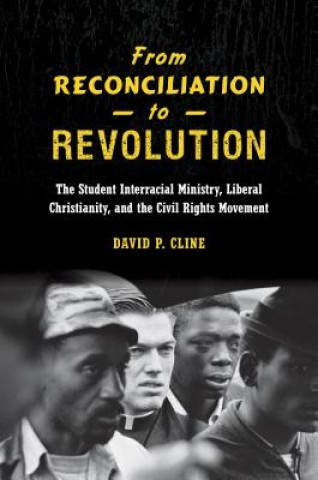 Книга From Reconciliation to Revolution David P. Cline