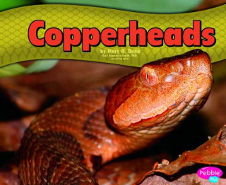 Kniha Copperheads Mary R. Dunn