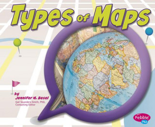 Kniha Types of Maps Jennifer M. Besel