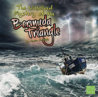 Knjiga The Unsolved Mystery of the Bermuda Triangle Aaron Rudolph