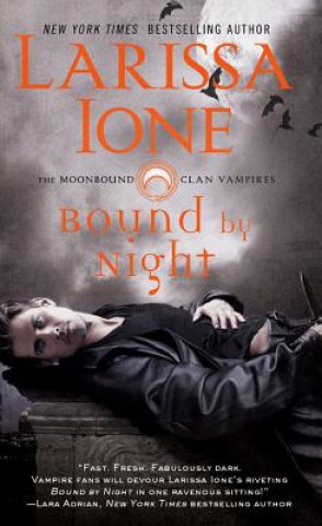 Könyv Bound by Night Larissa Ione