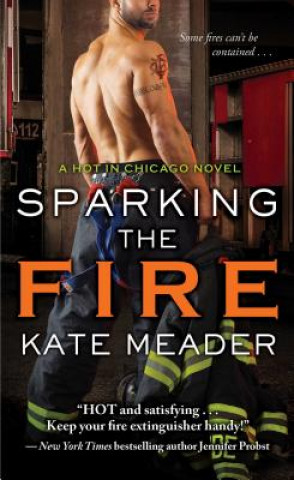 Kniha Sparking the Fire Kate Meader