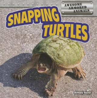 Knjiga Snapping Turtles Bethany Baxter