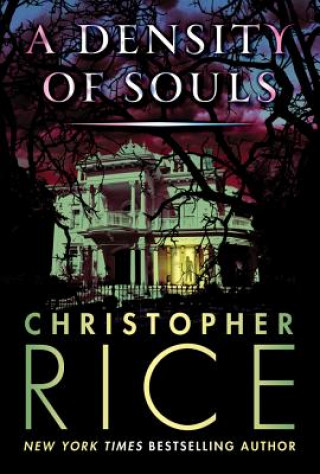 Kniha Density of Souls Christopher Rice