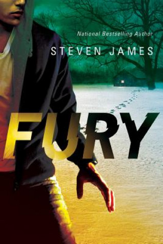 Könyv Fury Steven James
