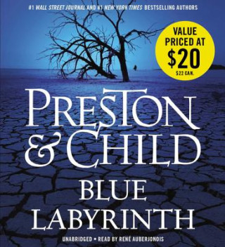 Audio Blue Labyrinth Douglas Preston