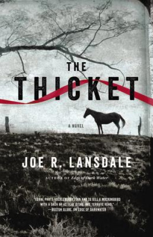 Hanganyagok The Thicket Joe R. Lansdale
