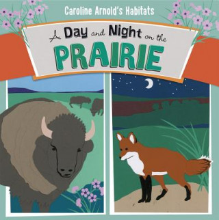 Könyv A Day and Night on the Prairie Caroline Arnold