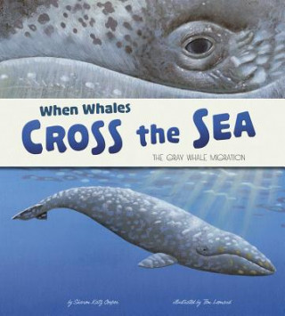 Carte When Whales Cross the Sea Sharon Katz Cooper