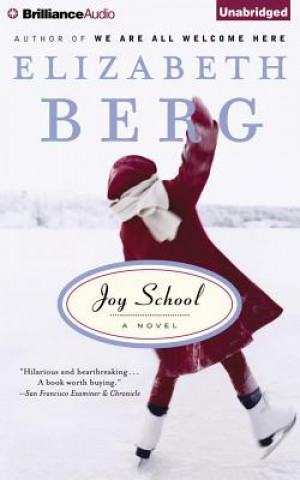 Аудио Joy School Elizabeth Berg