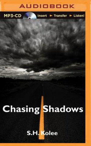 Digital Chasing Shadows S. H. Kolee
