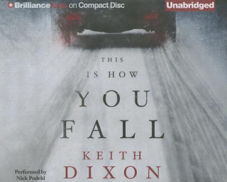 Audio This Is How You Fall Keith Dixon