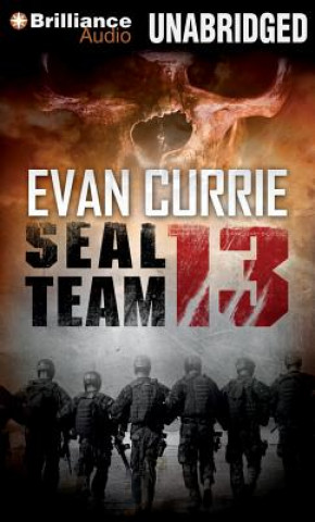 Audio Seal Team 13 Evan Currie